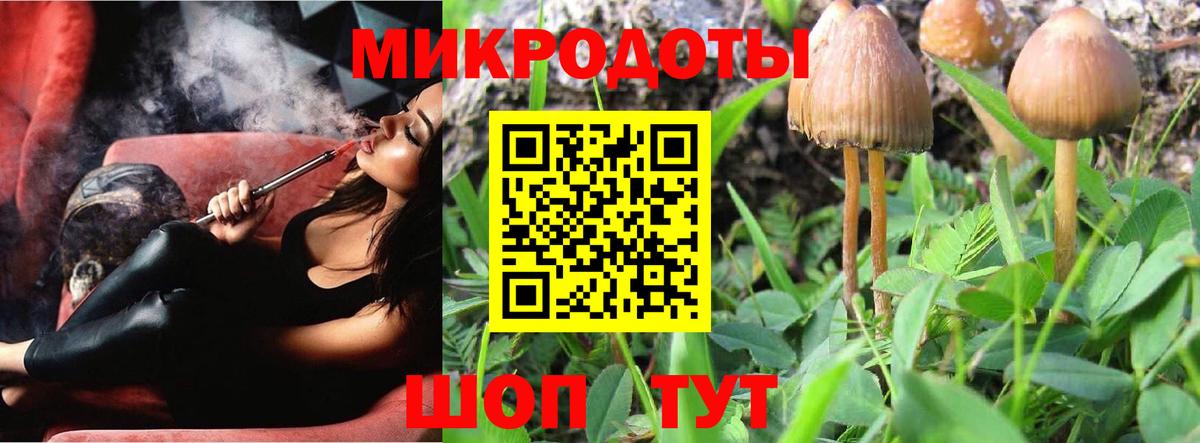 Псилоцибиновые грибы Cubensis  Галлюциногенные грибы мицелий  Гусь-Хрустальный  Вход с VPN 